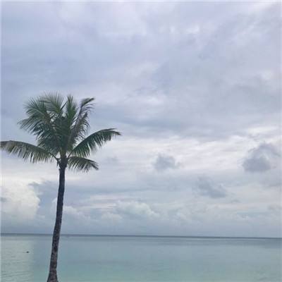 飞行模拟vr游戏下载